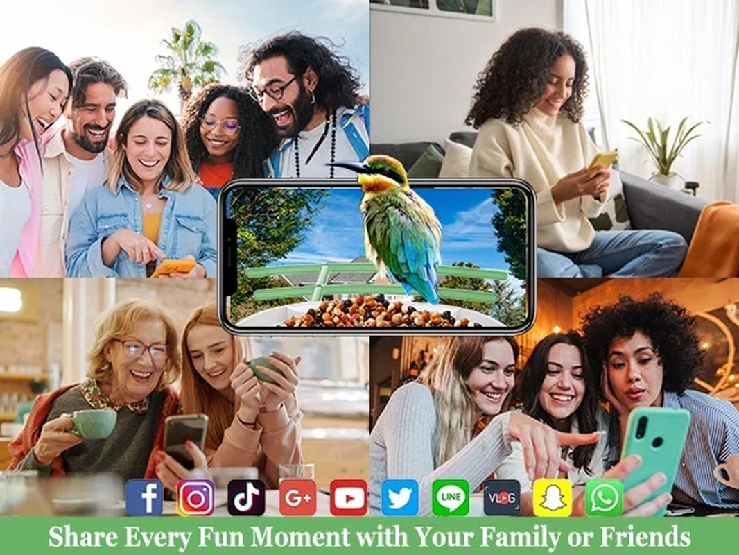 Smart Bird Feeder Camera, Outdoor Bird Watching Camera with Auto Capture Bird Videos & Motion Detection, Best Gift for Bird Lover, Green