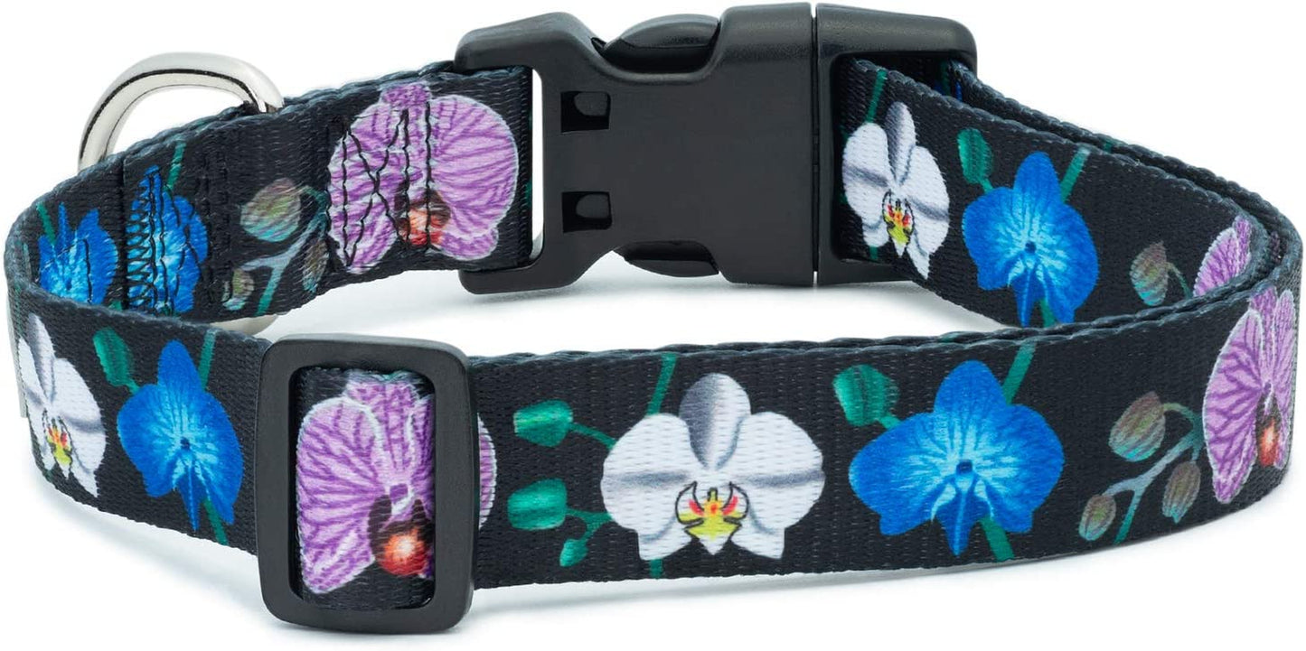 Floral Flower Dog Collar (Large, Orchid)