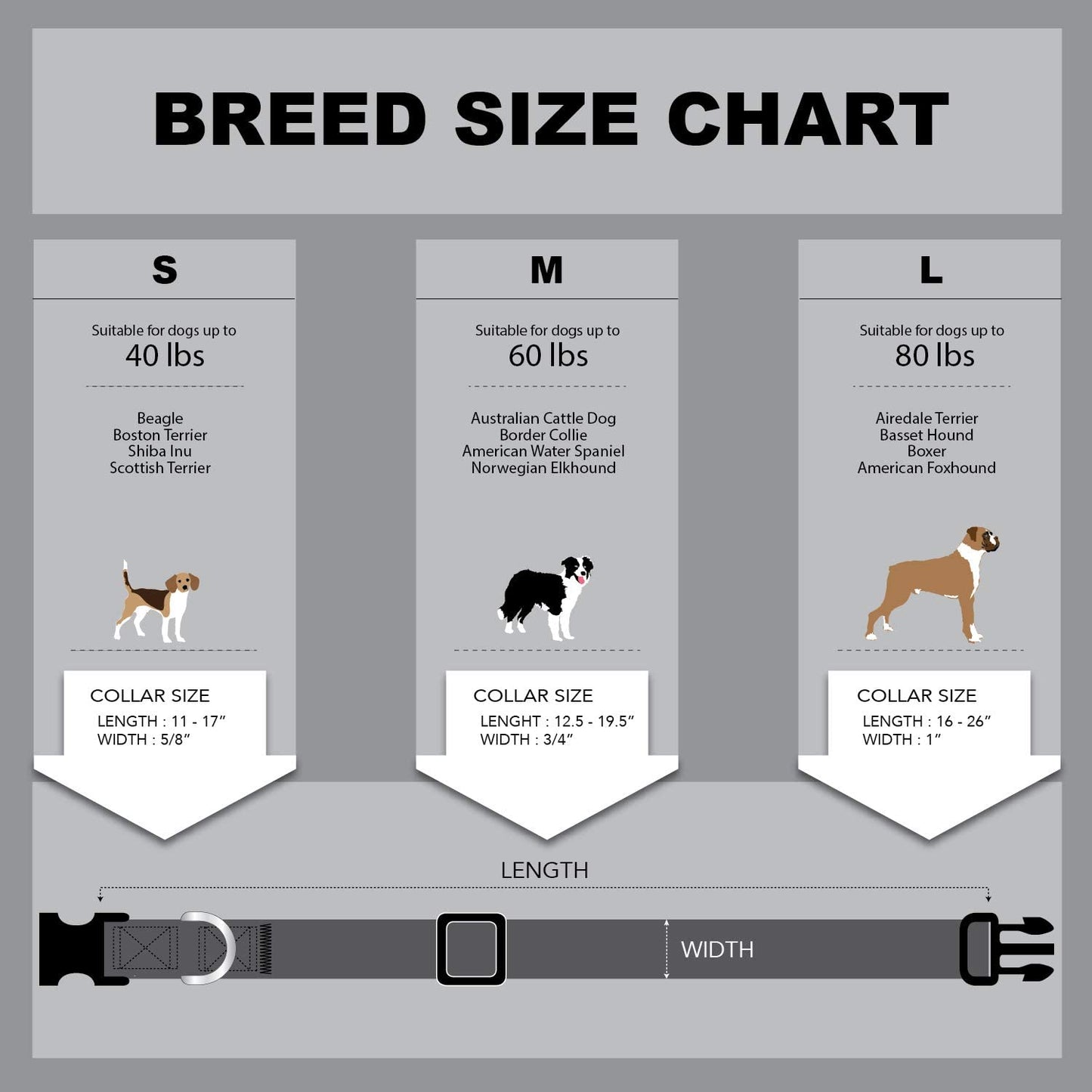 Floral Flower Dog Collar (Large, Orchid)