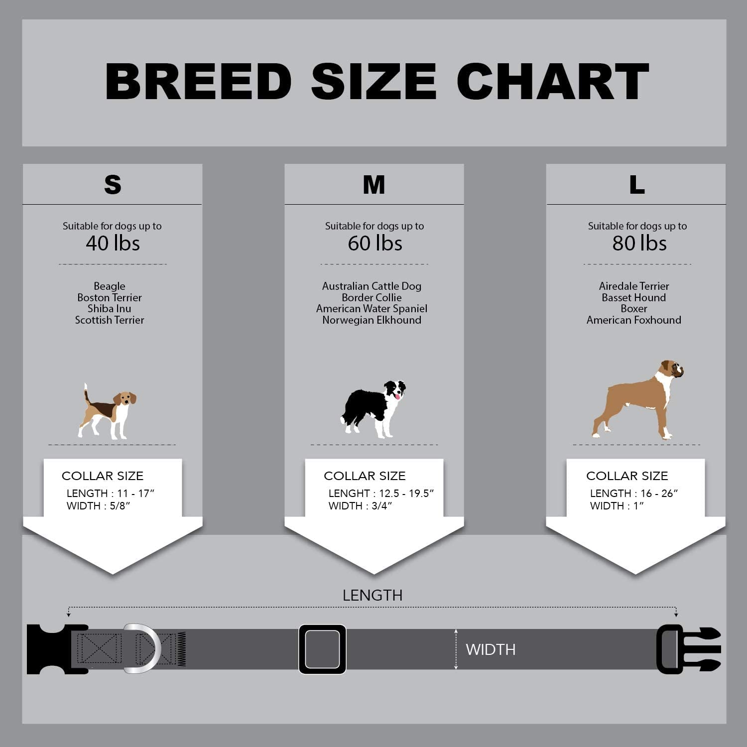 Floral Flower Dog Collar (Large, Orchid)