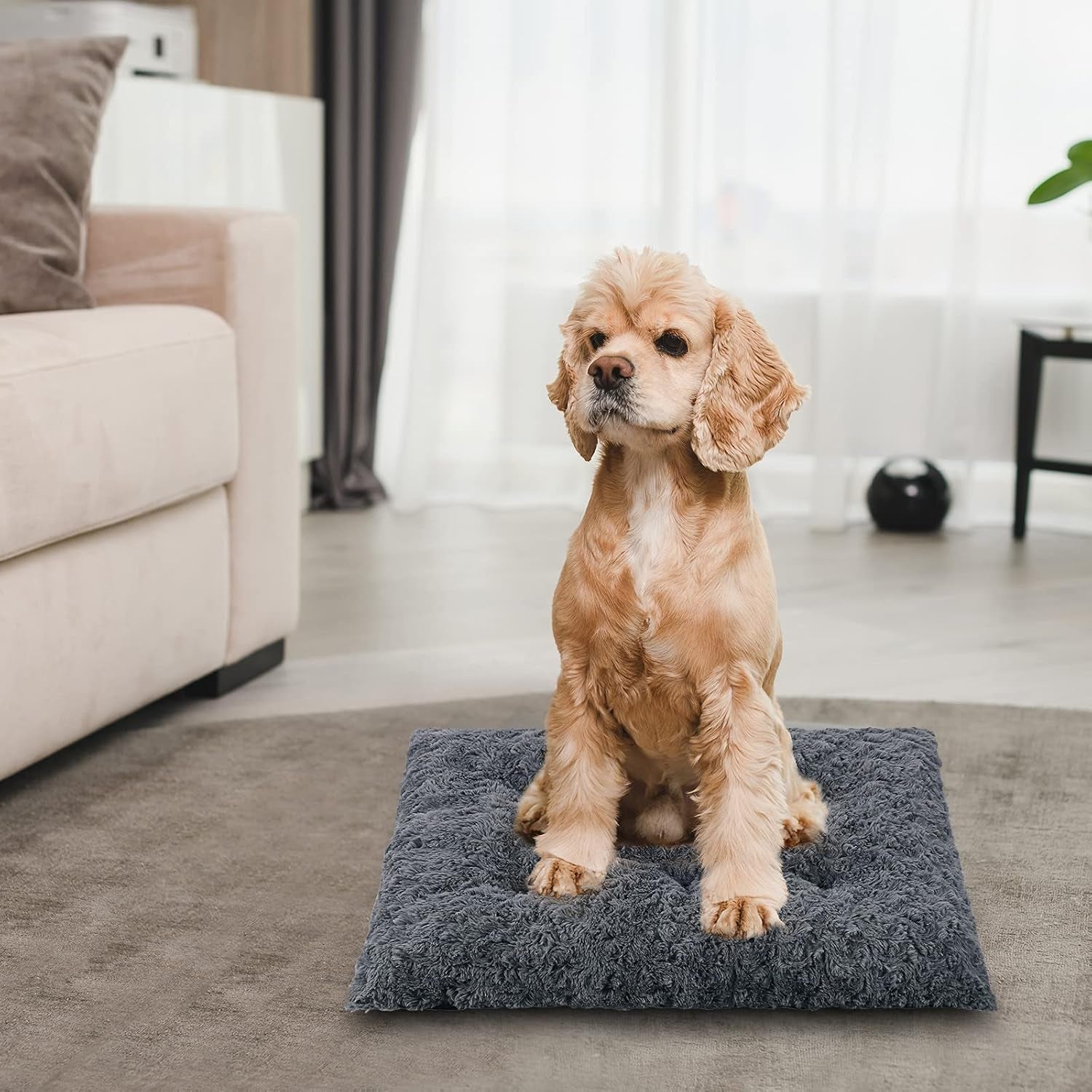 Super Soft Dog Mattress, Cat Mattress, Soft Crate Mat, Pet Sleeping Mat, Machine Washable Non-Slip Dog Cage Pet Mat, Suitable for Kennel Mats for Large, Medium and Small Dog and Cats (Medium)