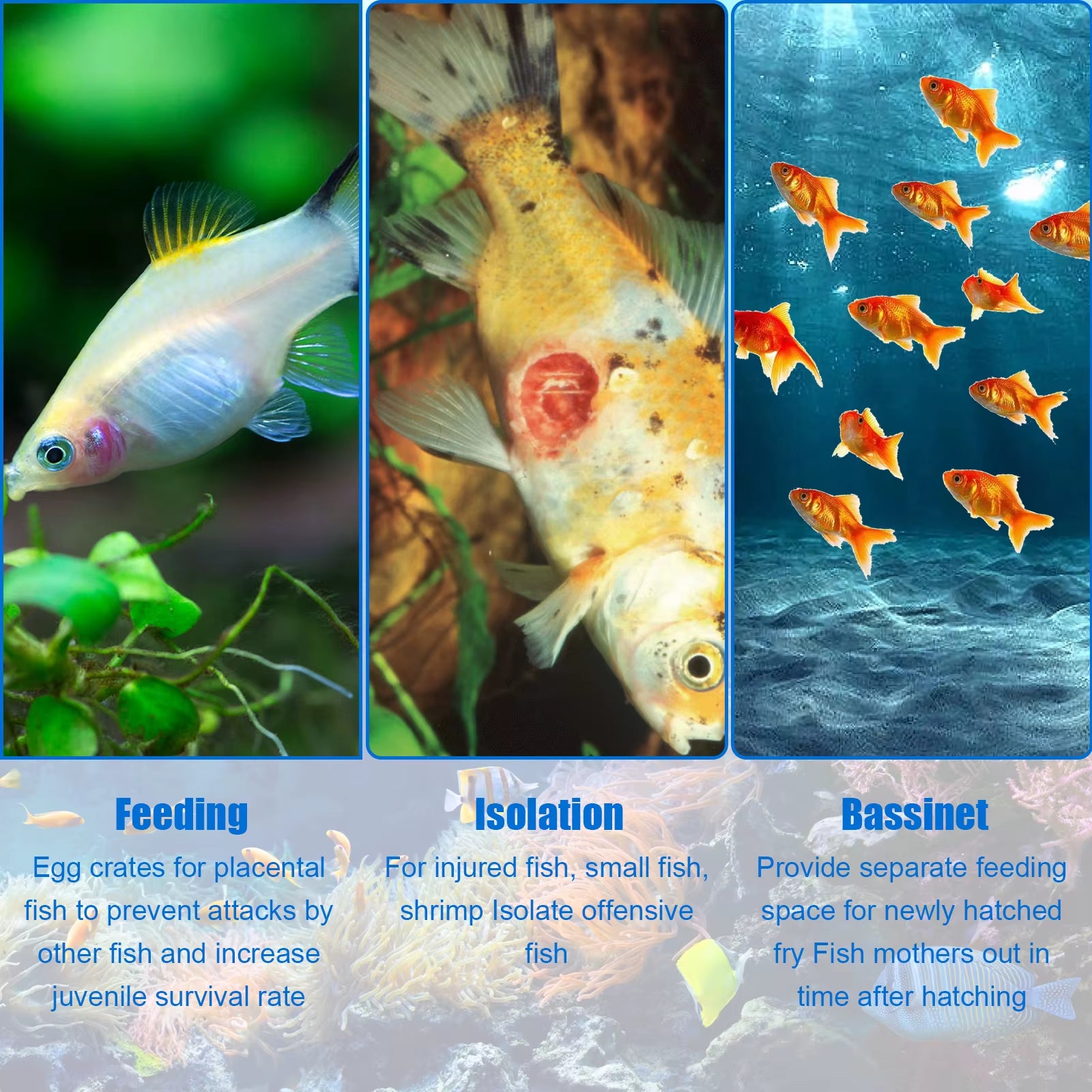 Aquarium Breeder Box Fish Breeding Box Clear Fish Isolation Box Fish Hatchery Acrylic Fish Incubator Box with Detachable Meshlid