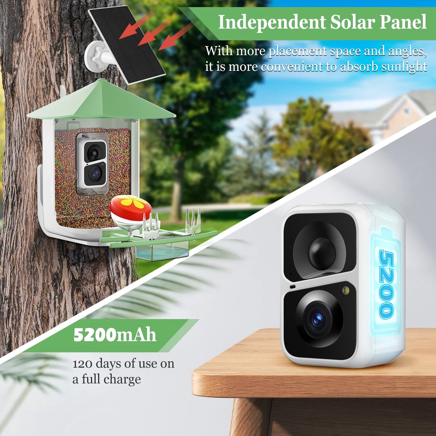 Smart Bird Feeder Camera, Outdoor Bird Watching Camera with Auto Capture Bird Videos & Motion Detection, Best Gift for Bird Lover, Green