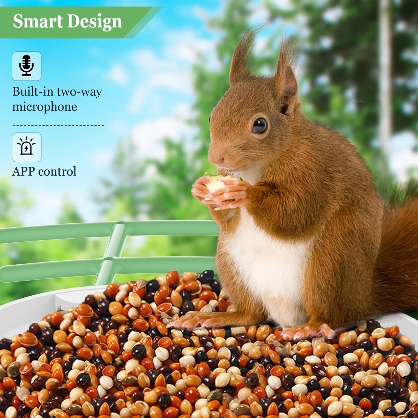 Smart Bird Feeder Camera, Outdoor Bird Watching Camera with Auto Capture Bird Videos & Motion Detection, Best Gift for Bird Lover, Green