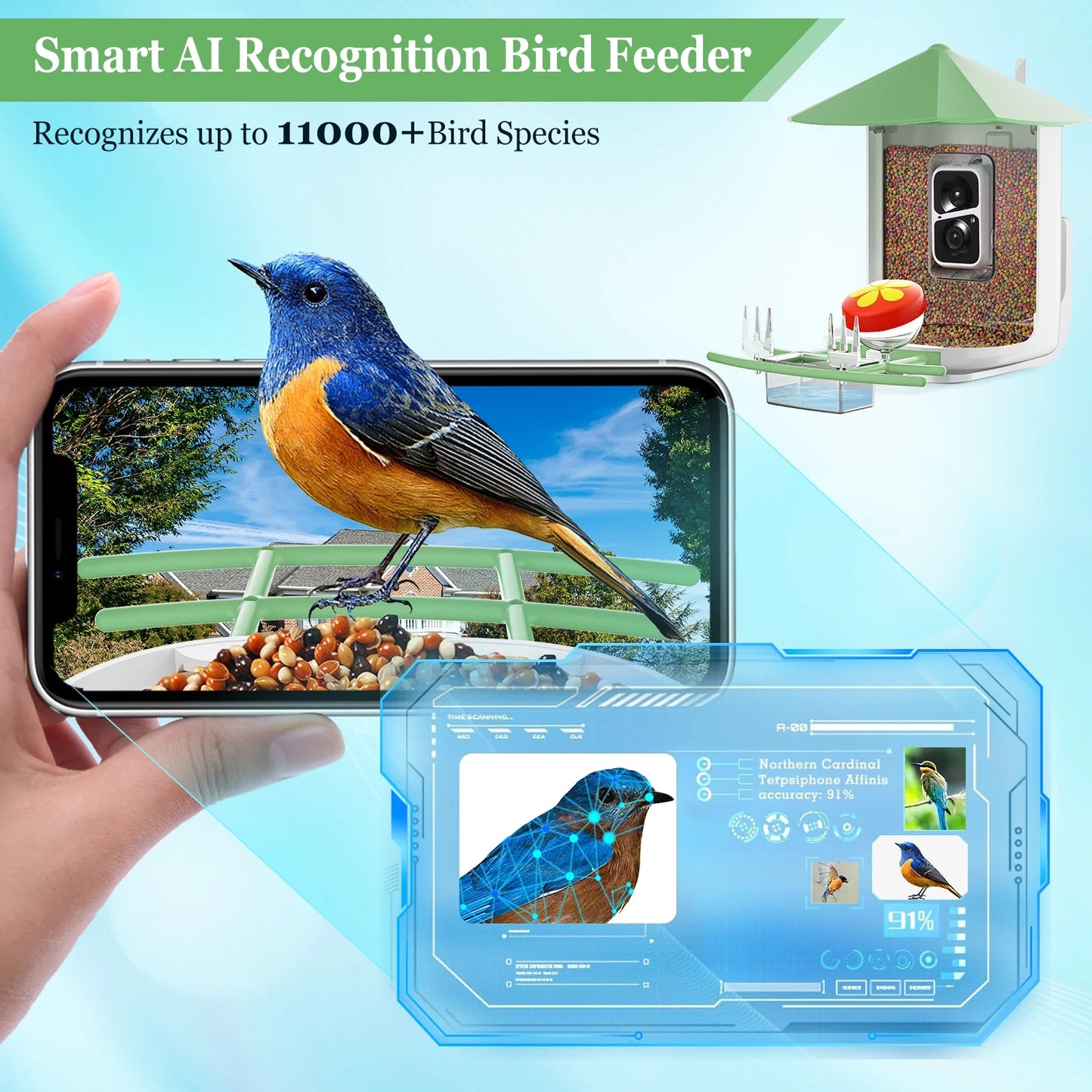 Smart Bird Feeder Camera, Outdoor Bird Watching Camera with Auto Capture Bird Videos & Motion Detection, Best Gift for Bird Lover, Green