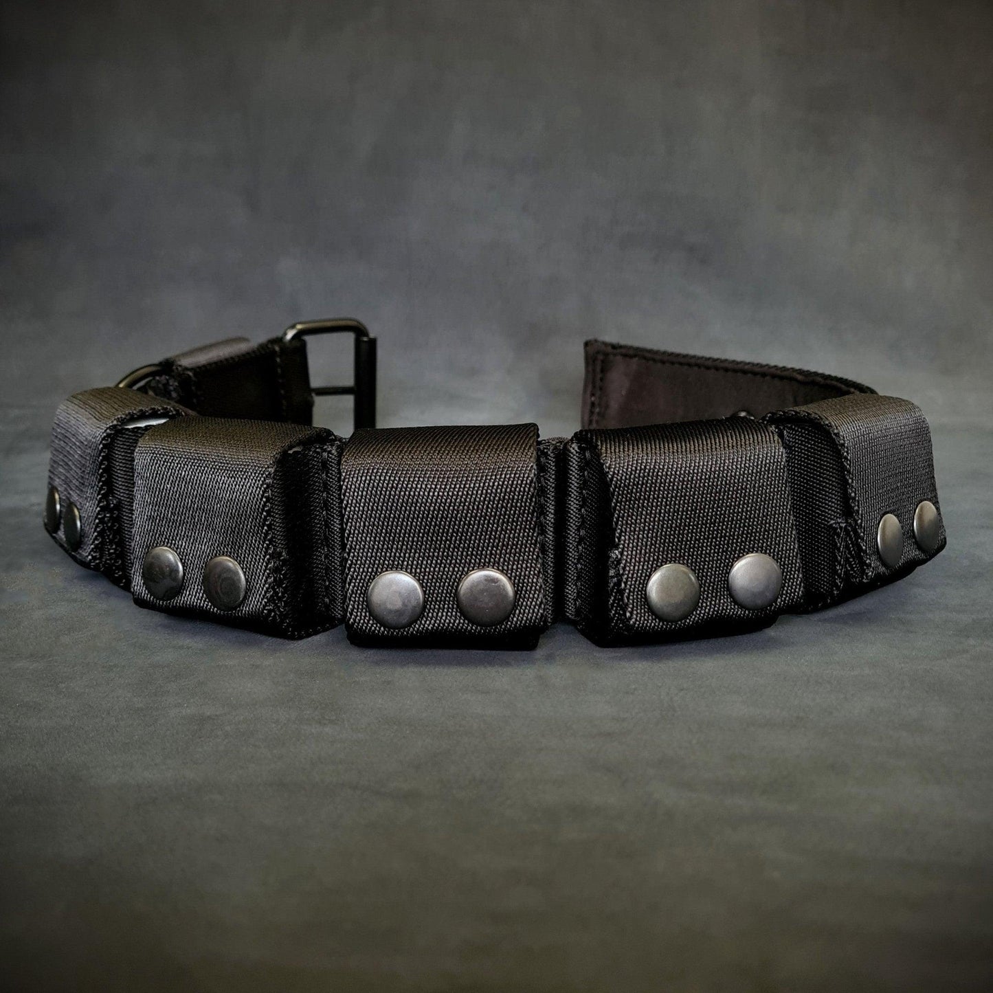 Weighted dog training collar. Large breeds. 5 lbs total. removable weights